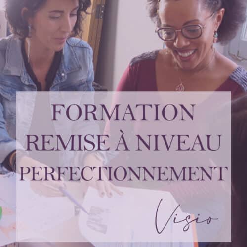 formation remise à niveau et perfectionnement en visio